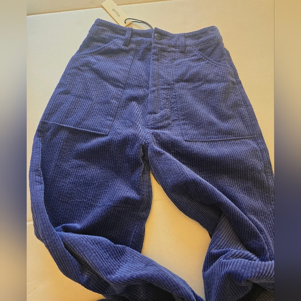 Rolla's Francoise Corduroy Pants In Electric Blue Size 6 - Picture 4 of 14